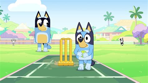 Bluey : ABC iview