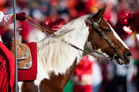 Kansas City Chiefs retire its horse mascot, Warpaint