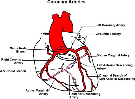 Heart Bypass Page Two - The Problem