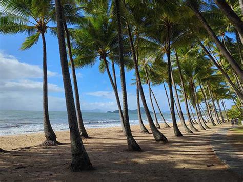 Top 3 Things to Do in Palm Cove Beach Cairns