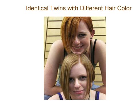 PPT - Identical Twins with Different Hair Color PowerPoint Presentation ...