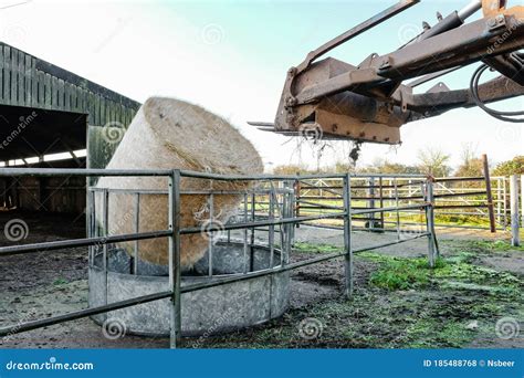 Dropped Hay Bale Seen Near a Cow Shed on a Dairy Farm. Editorial Stock Photo - Image of machine ...