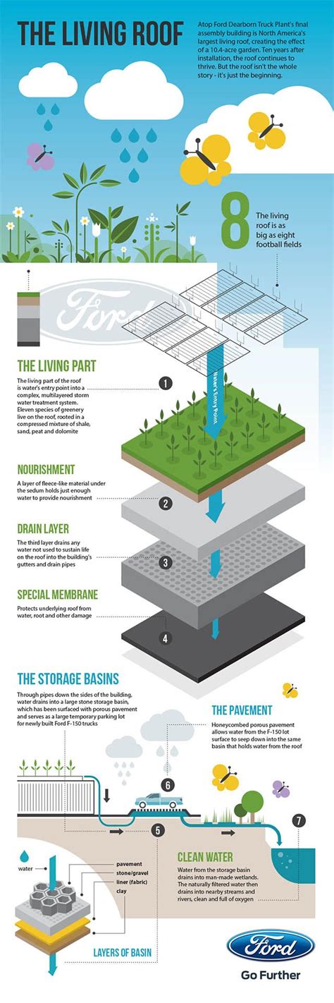 Cool Facts About Green Roofs - The Green Divas | Living green roof, Green building, Living roofs