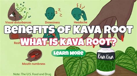 The Benefits of Kava Root – What Is Kava Root? - Sno Pug