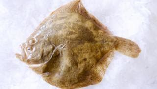 Turbot recipes - BBC Food