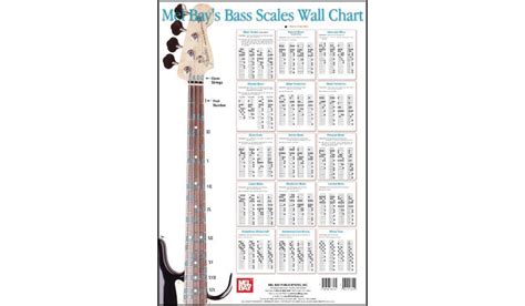 Bass Scale Wall Chart: Buy Online at Best Price in Egypt - Souq is now Amazon.eg