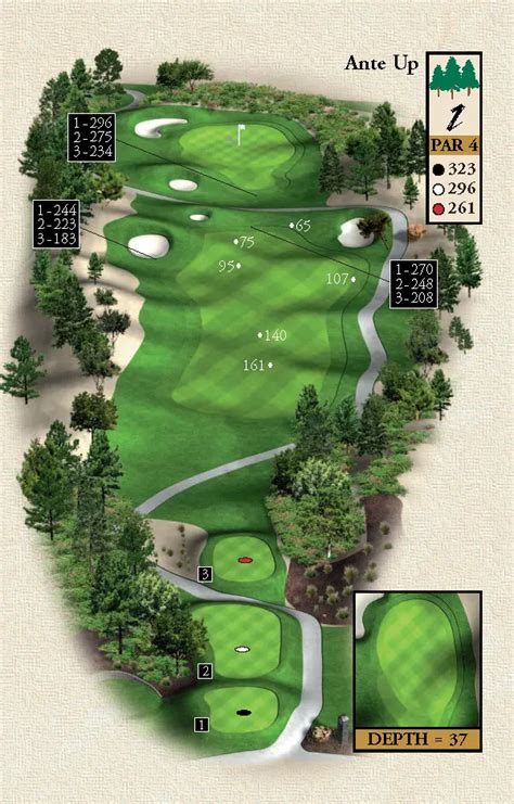 Dye Design Golf Course | Desert Pines