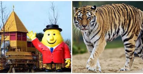 Tayto Park is ordered not to add any more animals to its zoo after concerns were raised about ...