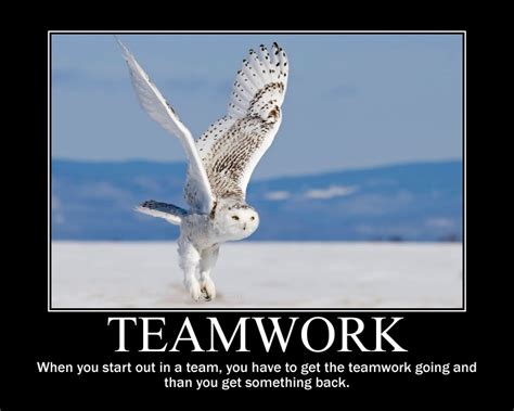 Teamwork Quotes | hello sarah