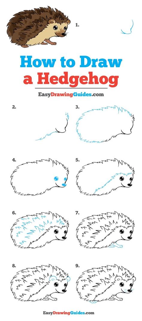 How to Draw a Hedgehog - Really Easy Drawing Tutorial | Drawing ...