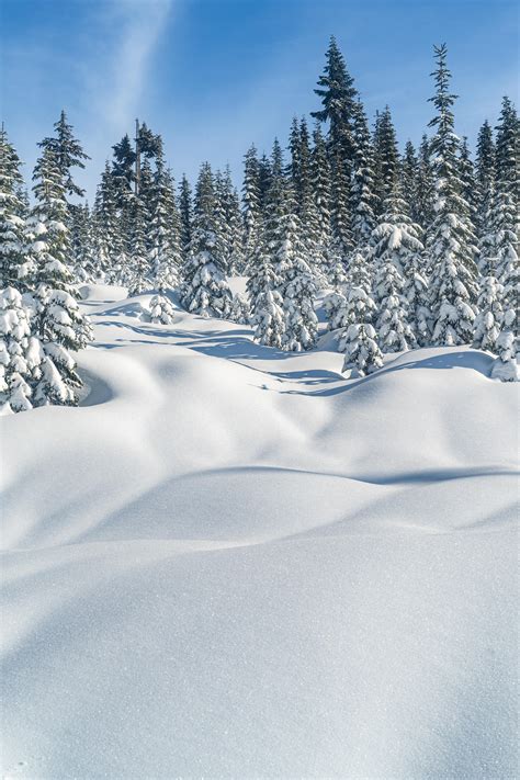 A sunny winter paradise, Snoqualmie Pass, WA [1365x2048] - Nature/Landscape Pictures