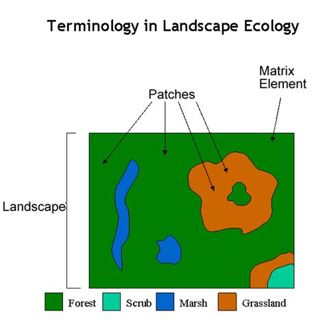 5.3 Assessing landscape patterns | GEM