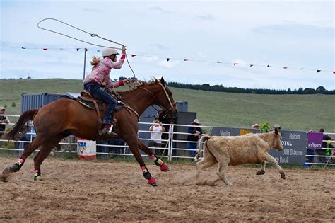 What Is Breakaway Roping? - Horses & Foals