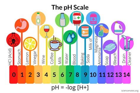 Explain The Ph Scale Acids And Bases