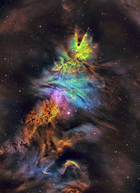 Christmas Tree Nebula / NGC 2264 Photograph by Stagefright Astrophotos ...