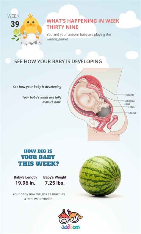 Percentage Of Babies Born At 39 Weeks - BABBIES CIP