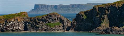 Carrick a Rede Rope Bridge History