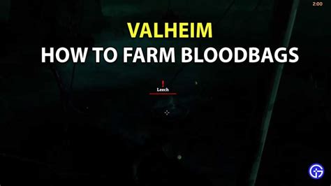 Valheim: How To Farm Bloodbags FAST | Where To Find & Tips