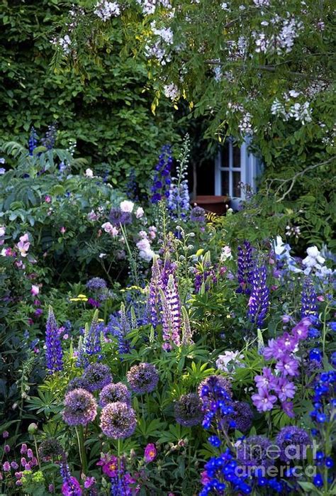 The Garden Of Love | Cottage garten, Garten design, Vorgarten