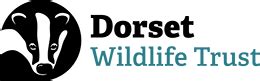 Dorset Wildlife Trust | Homepage