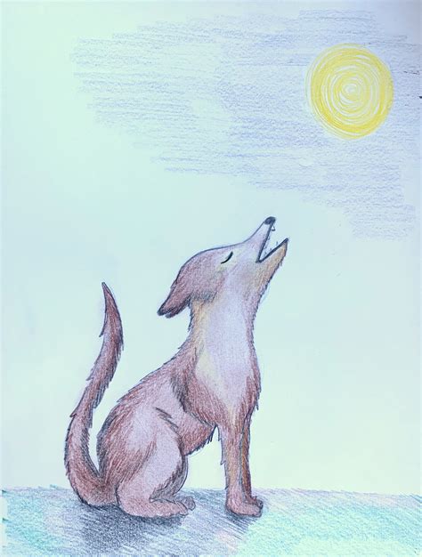 How To Draw A Coyote - basicdraw.com