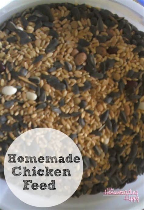 Homemade Chicken Feed Recipe