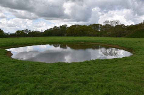 Great crested newts - Habitat Regeneration