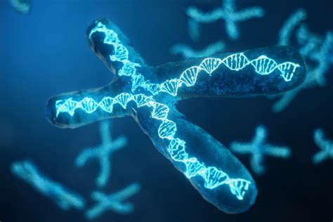 Scientists sequence entire human X chromosome for the first time | The ...