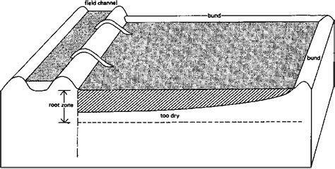 CHAPTER 2. BASIN IRRIGATION