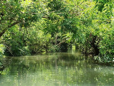 Wilpattu National Park - Travel Talk Tours