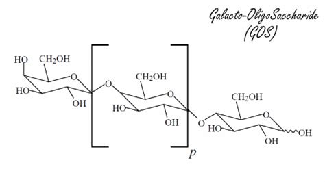 A few grams of galacto-oligosaccharides make your protein shake a better muscle builder