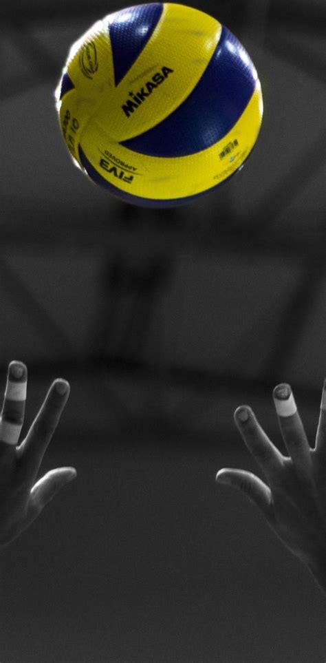 Volleyball Wallpaper Explore more wallpaper. https://www.whatspaper.com/volleyball-wallpaper-3 ...