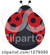 Royalty-Free (RF) Ladybug Clipart, Illustrations, Vector Graphics #2