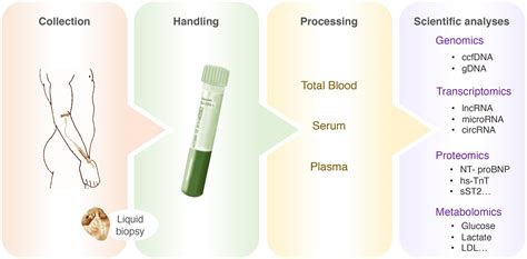 Difference Between Hemolyzed And Non Hemolyzed Blood In Urine 50+ Pages Summary [2.8mb ...