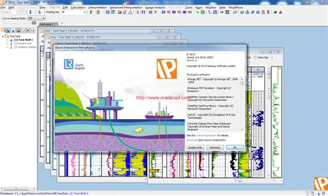 Interactive Petrophysics v4.6 Installation Guide - Software training ...