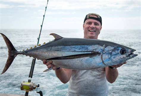 Albacore Tuna - Thunnus alalunga - Chicken of the Sea! - Video