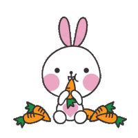 Rabbit Eating Carrot GIFs | Tenor