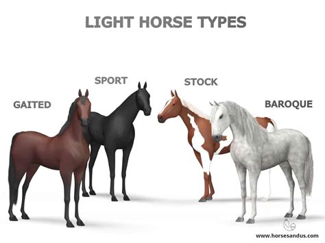 4 Types Of Light Horses [Sport, Stock, Baroque, Gaited]