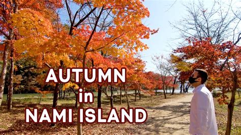 Nami Island 🍁 Autumn in South Korea - YouTube