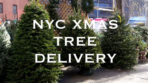 Christmas Tree Delivery NYC - SoHoTrees.com - Xmas Trees for Sale - YouTube