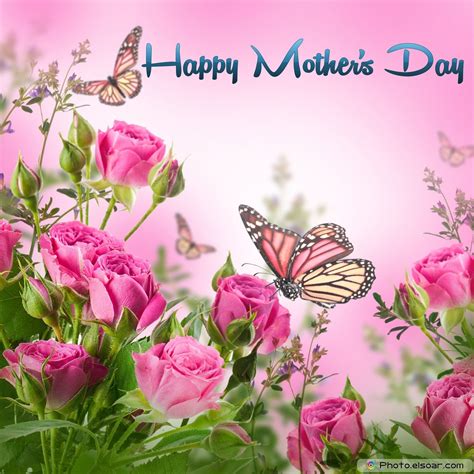 Beautiful Mothers Day Cards with Pink Flowers and Butterflies