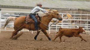 What is Breakaway Roping? - Cowboy Lifestyle Network