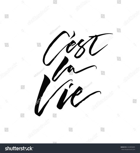 French Quote Cest La Vie Meaning Stock Vector (Royalty Free) 493005805 | Shutterstock