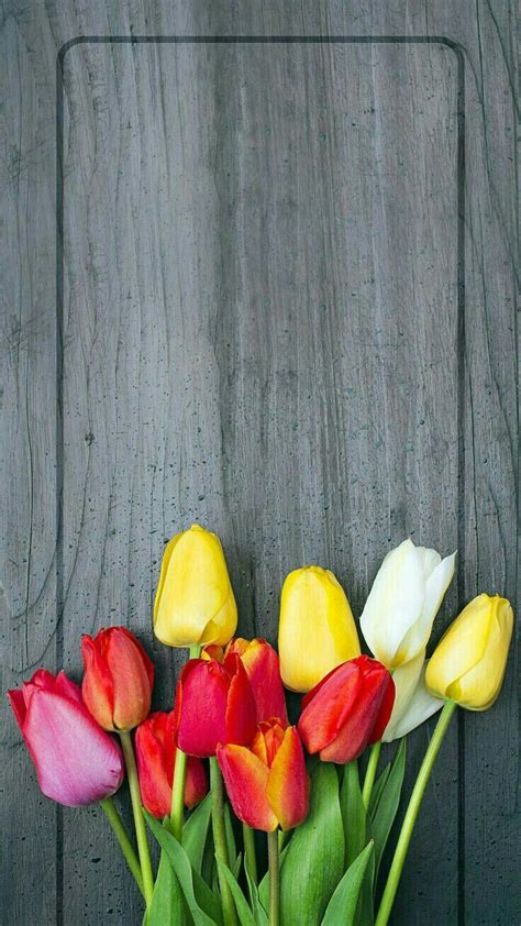 Tulips wallpaper | Spring wallpaper, Flower wallpaper, Flowery wallpaper