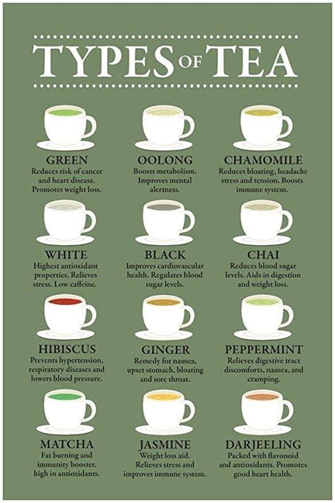 Types of Tea and Their Benefits Chart Varieties Infographic Green Art Print Laminated Dry Erase ...