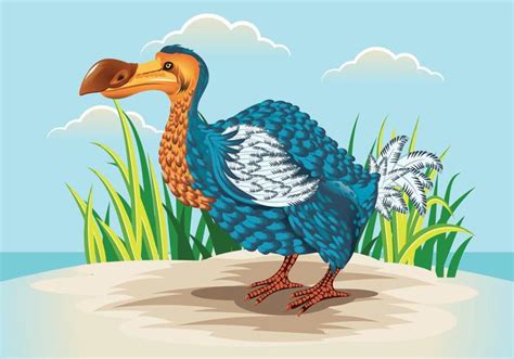 Cute Dodo Bird Illustration 146559 Vector Art at Vecteezy