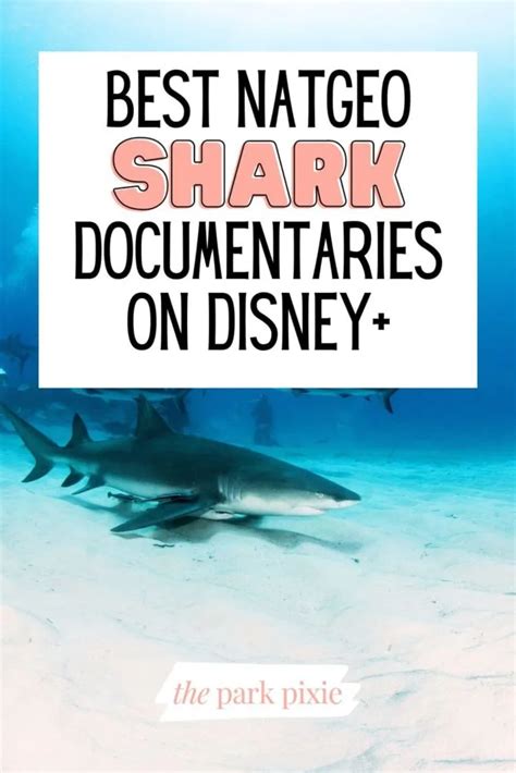 Best National Geographic Shark Documentaries on Disney Plus