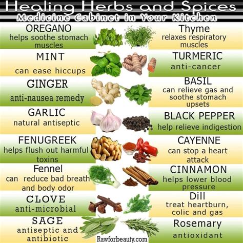 Low Microbial Diet Food List