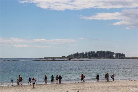 Crescent Beach State Park - See Swim