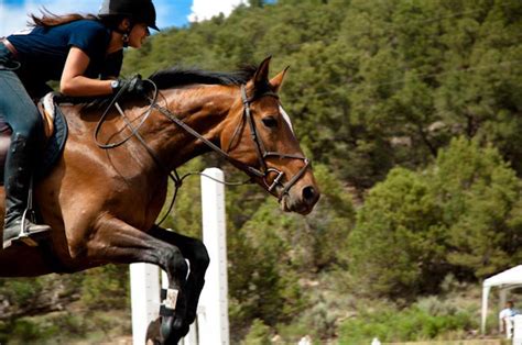 3 Reasons horseback riding is fun (and worth it) - Horse Rookie